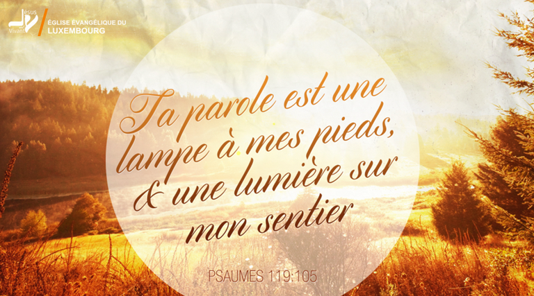 La Bible en image La Bible en image